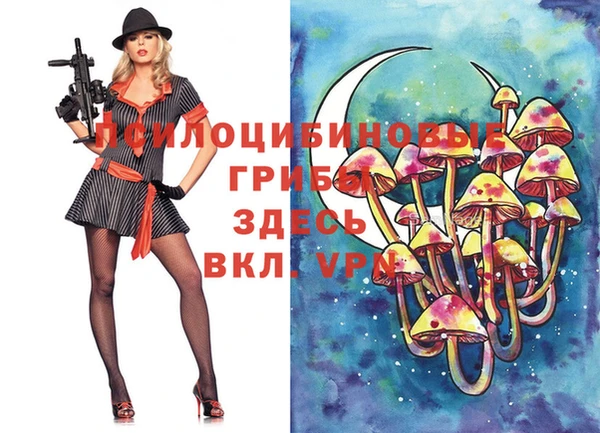 молекула духа Баксан